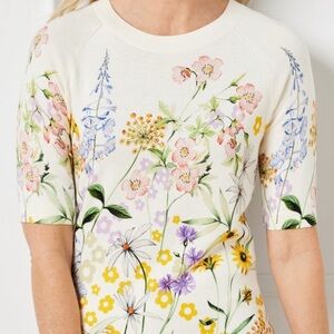 Talbots Cream Floral Print Knit Blouse- size 1X